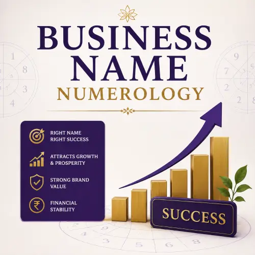 best business name numerologist india